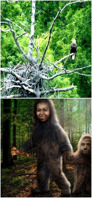  photo Michelle Barack Obama BigFoot Eagles COMP 01_zpstsn4pwka.jpg