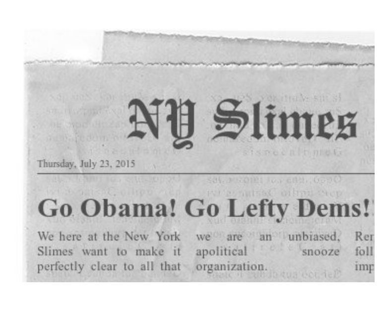  photo NY Slimes headlines 03_zpskpax4uft.jpg