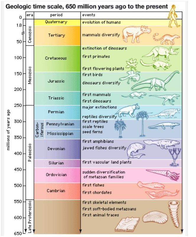  photo Geologic Time Scale Chart 01_zps0niq5cj4.jpg