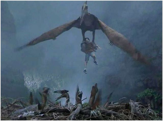  photo Jurassic Park - Flying Reptiles 01_zpsbhlc0pug.jpg