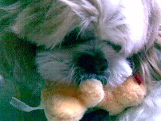  rick boy with his toy toy! (: