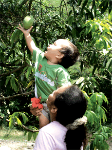 Photo Sharing and Video Hosting at Photobucket