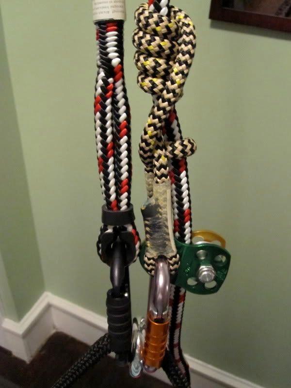 PICS of New Harness and Climbing Setup