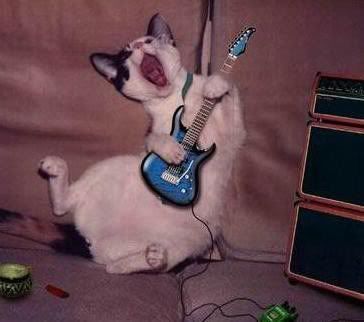 cat-playing-guitar.jpg
