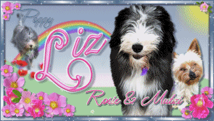 Image Image