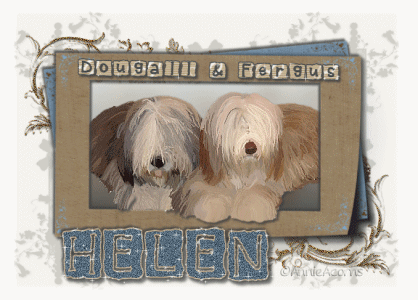 Image Image