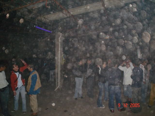 Eingefügtes Bild