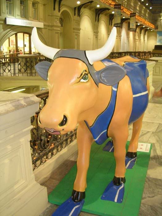 Image061.jpg