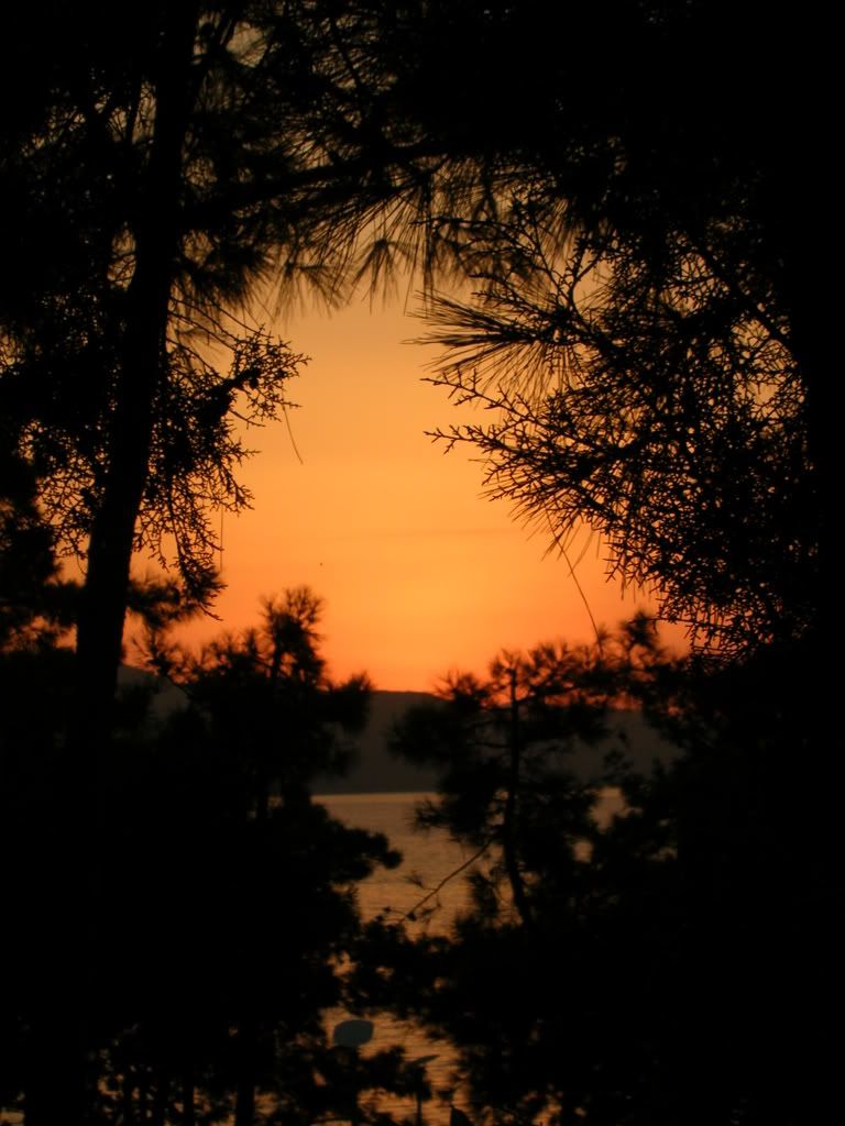 Image227.jpg