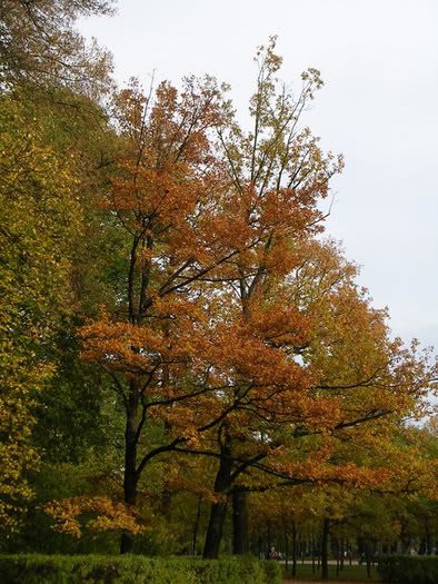 DSCN3270.jpg