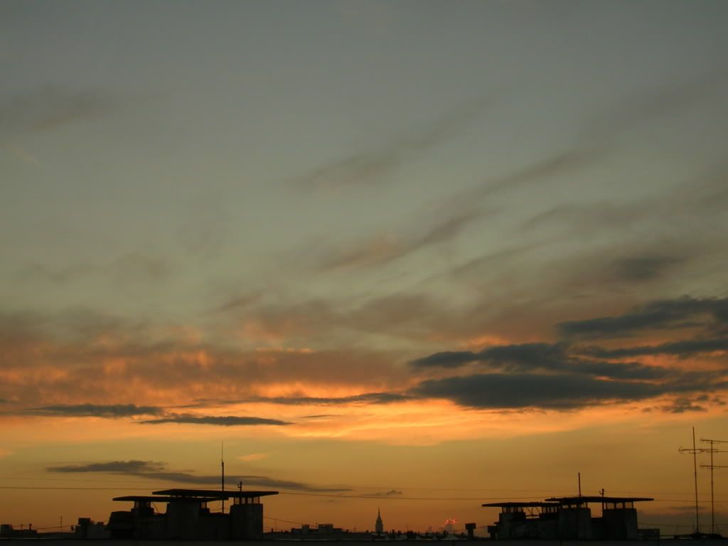 Image105.jpg