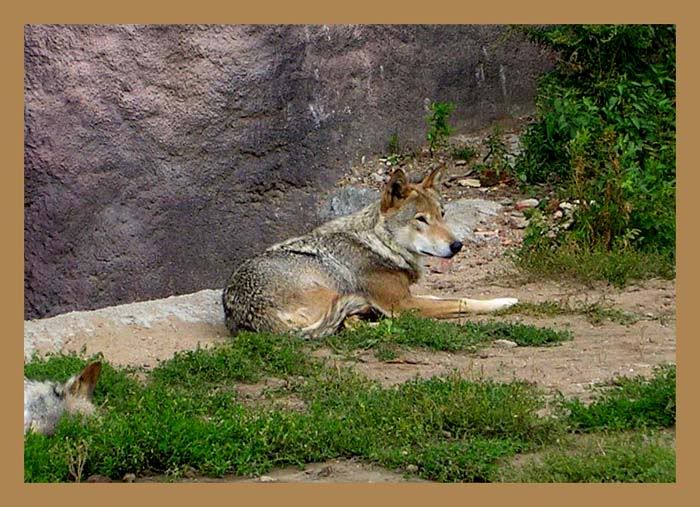 Image025.jpg