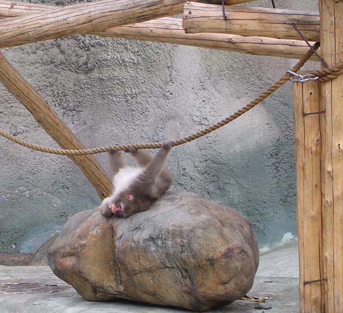Image026.jpg