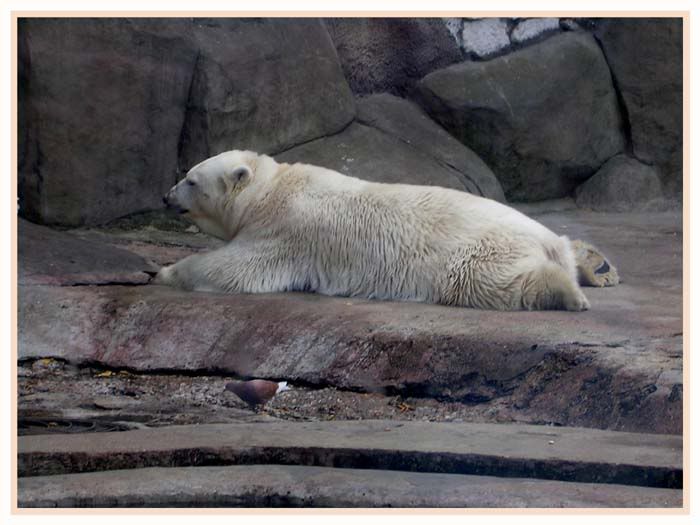 Image040.jpg