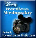 Focused on the Magic disney Wordless Wednesday Blog Hop