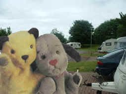 sooty.jpg