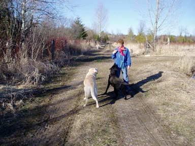 Image hosted by Photobucket.com