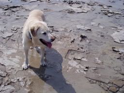 Image hosted by Photobucket.com