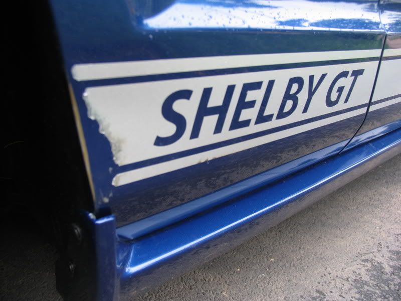 Shelbydamage001.jpg