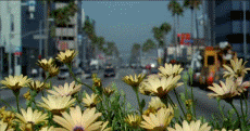 city Pictures, Images and Photos