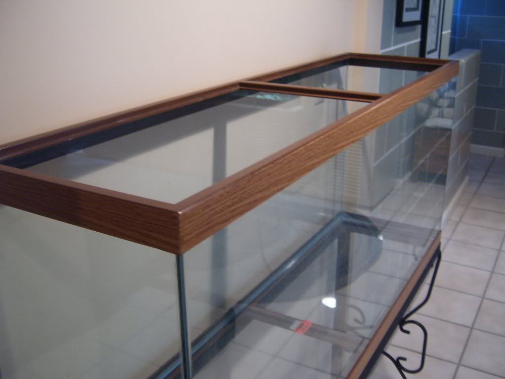 New 55 gal aquarium. HELP NEEDED!! Forum