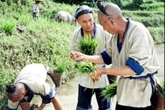 Jet Li (centre) as novice farmer