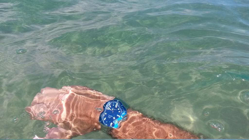 How do you guys define beater? WatchUSeek Watch Forums