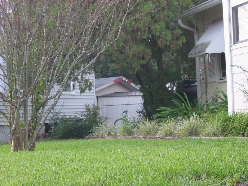 IMAGE: http://i12.photobucket.com/albums/a220/MagicRacoon/spottest4advanced.jpg