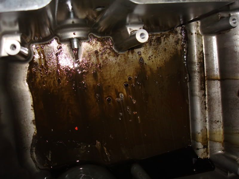 Metal Shavings in oil pan