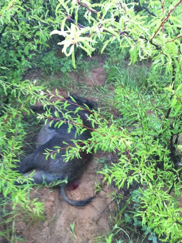 Photobucket Pictures, Images and Photos