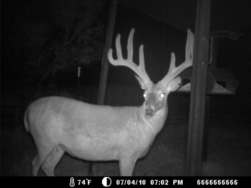 Photobucket Pictures, Images and Photos