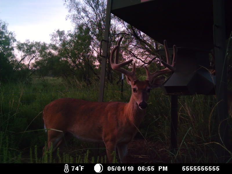 Photobucket Pictures, Images and Photos