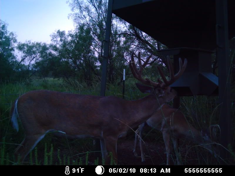 Photobucket Pictures, Images and Photos