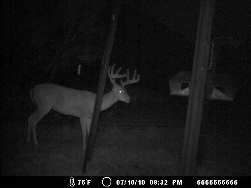 Photobucket Pictures, Images and Photos