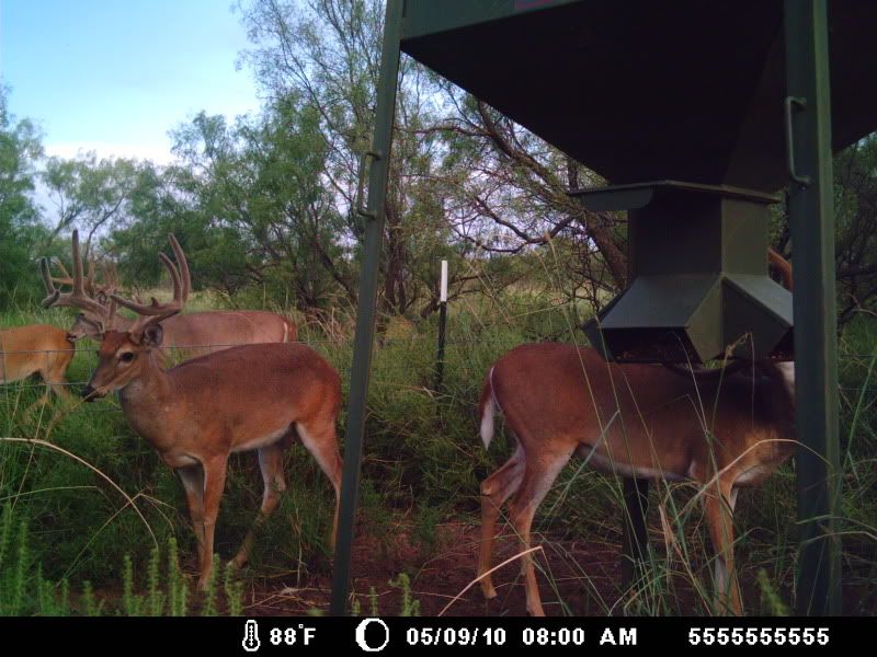 Photobucket Pictures, Images and Photos