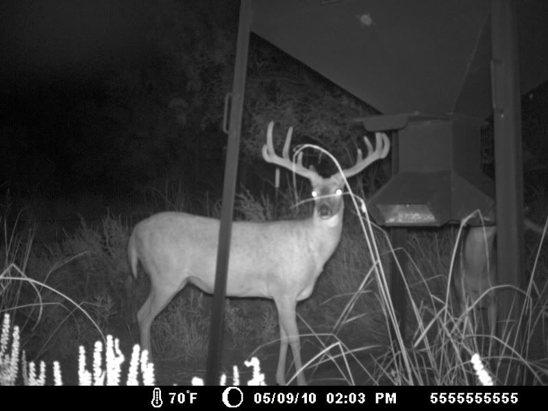 Photobucket Pictures, Images and Photos