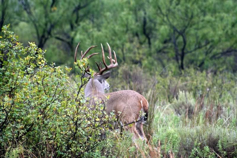 Photobucket Pictures, Images and Photos