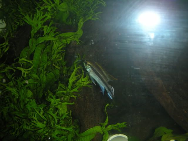 Picture030.jpg