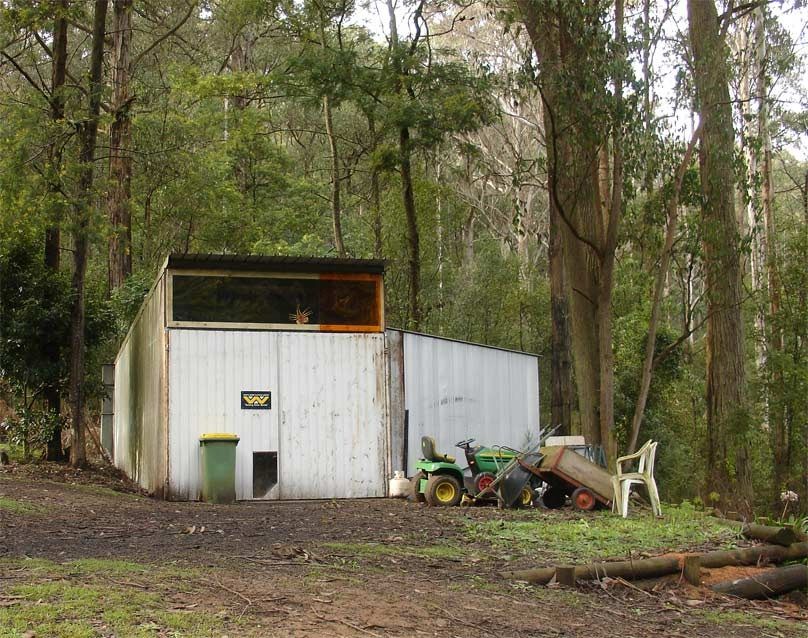 Shed-1.jpg