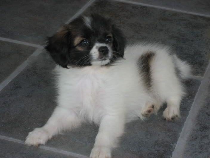 ELLA024.jpg