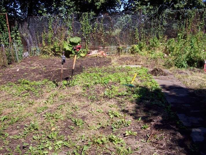 here is our allotment