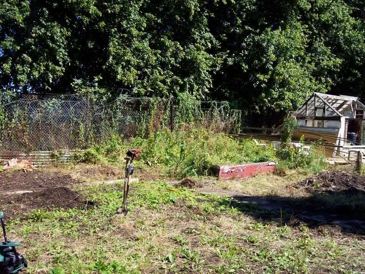 here is our allotment
