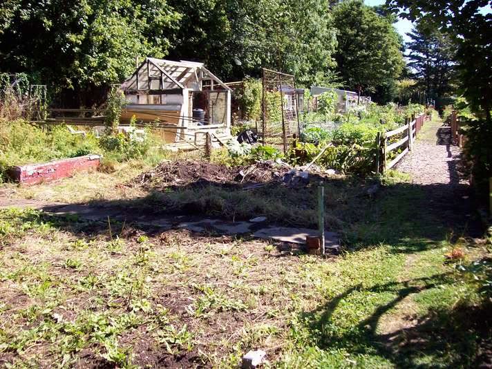 here is our allotment