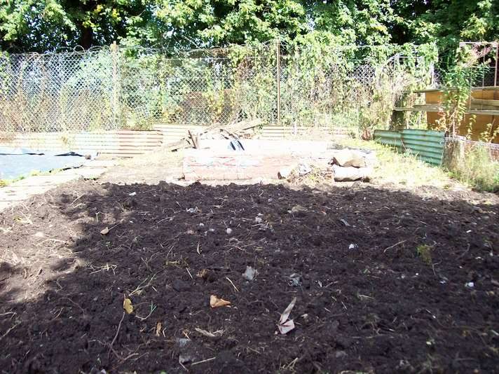 here is our allotment