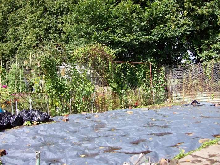 here is our allotment
