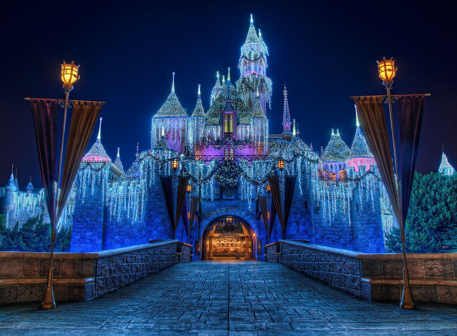 disneyland Pictures, Images and Photos