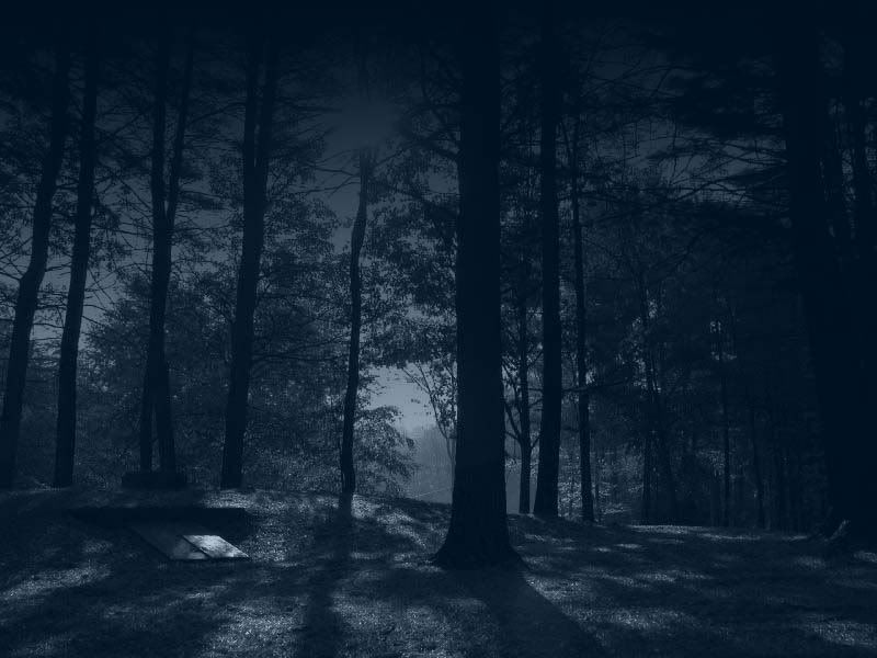 Dark_Forest_by_Sonnenradbanner.jpg