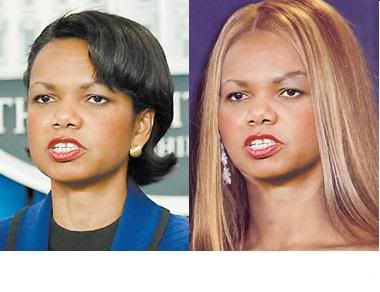 condi.jpg