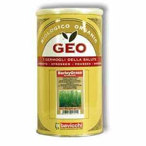 geo-organic-barley-seeds.jpg