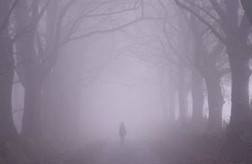 fog-in-Somerset-byTomWestsm_zpsjmqkuej0.